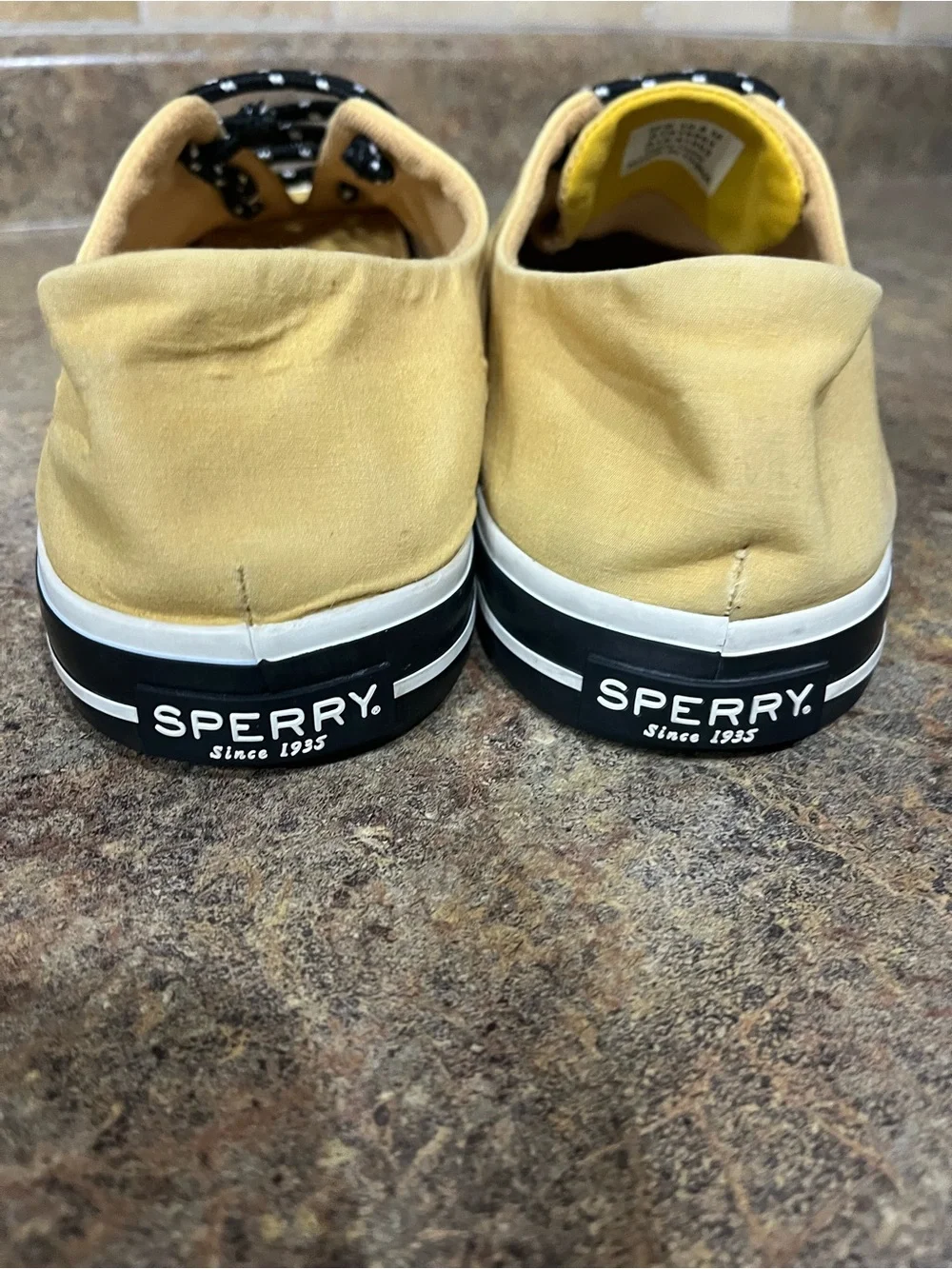 Sperry sailing club